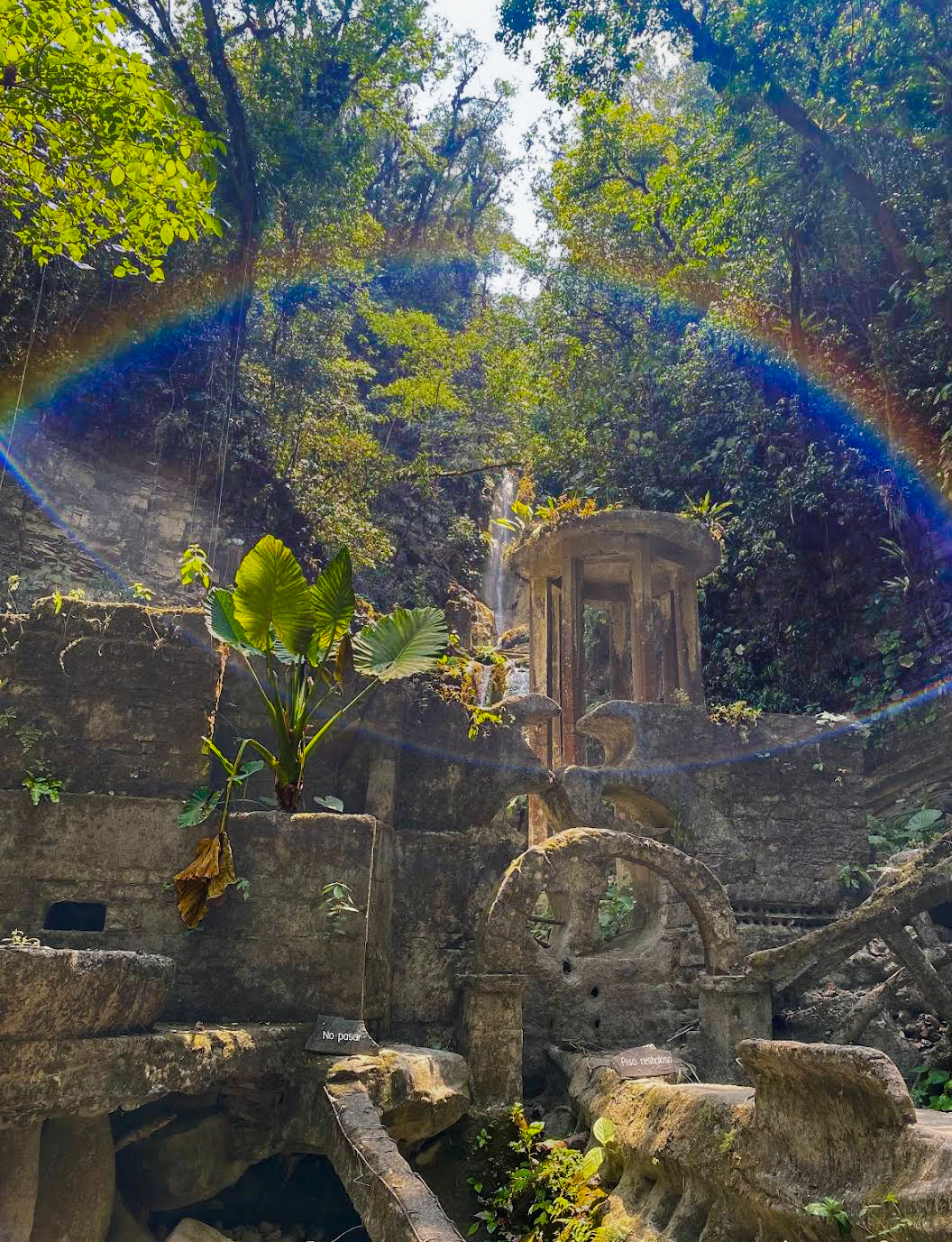 Las Pozas de Xilitla: Un Viaje Sensorial al Corazón de la Selva Huasteca